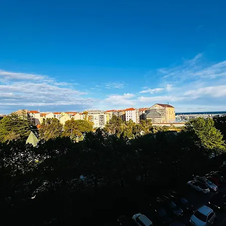 Didi * Savona